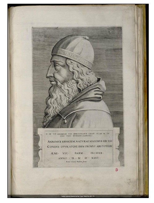 Аристотель Э. Вико