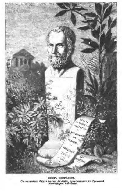 теофраст ф 1